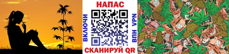 наркошоп omg сайт Конопля гибрид Мариинский Посад